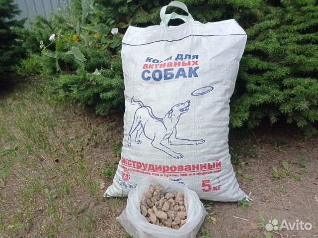 Корм для собак