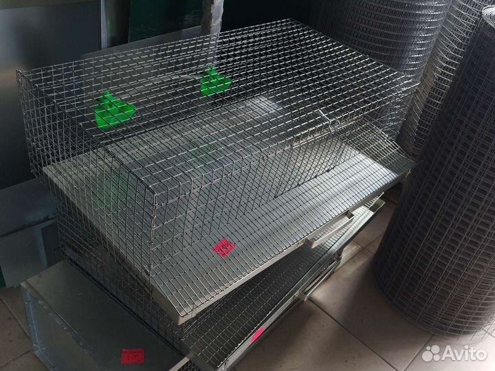 Клетки, сетка