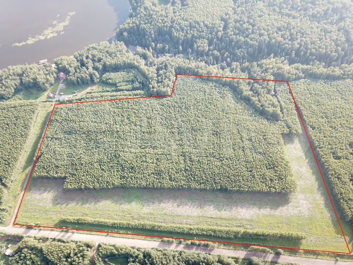 Участок 25 га (ИЖС)