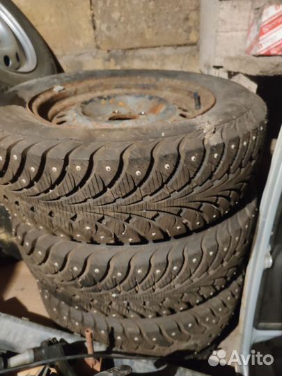 Accelera Accelera 195/65 R15 85ZR