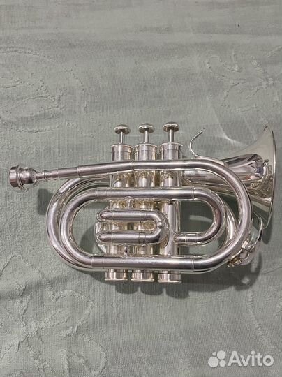 Brahner TM-510SP труба-мини Bb 3-х помповая