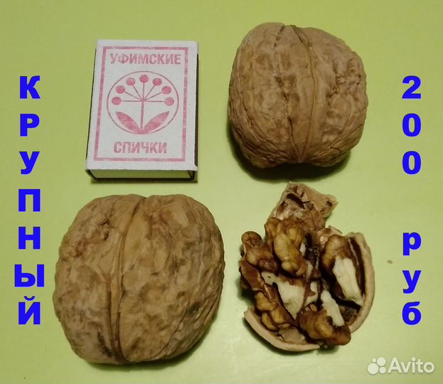 Грецкий орех