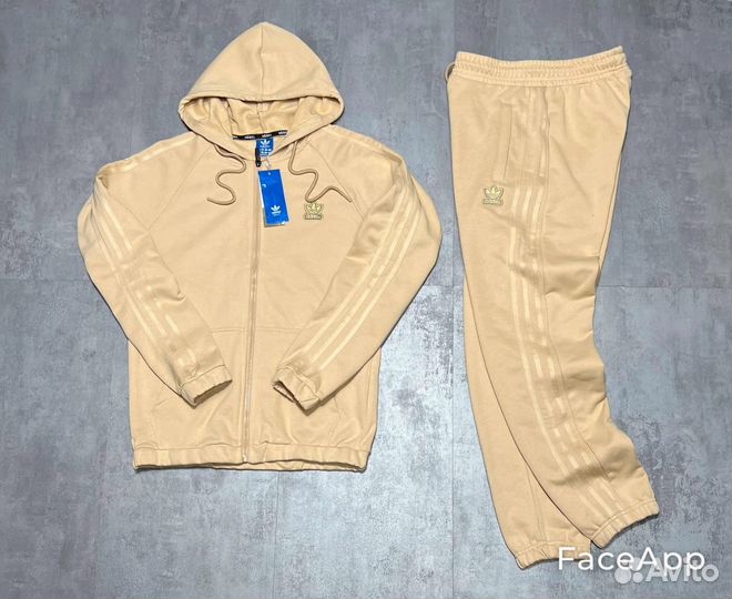 Спортивный костюм мужской двойка с капюшоном