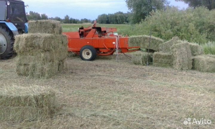Сено в пудовых квадратах