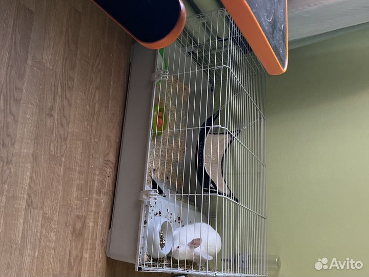 Клетка для кролика