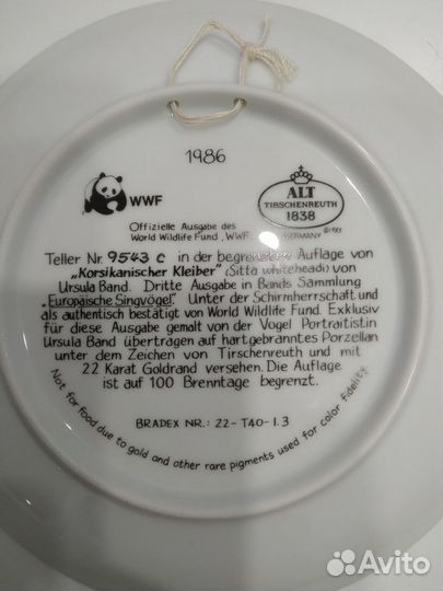 Корсиканский поползень