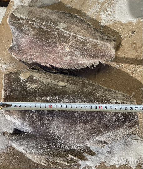 Палтус с/м синекорый 1-2