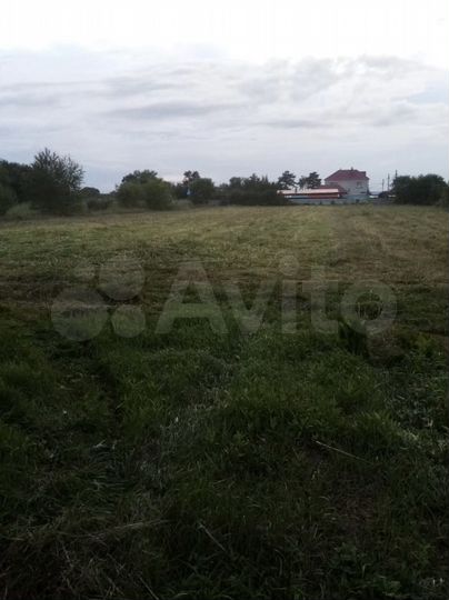 Участок 50 сот. (ИЖС)