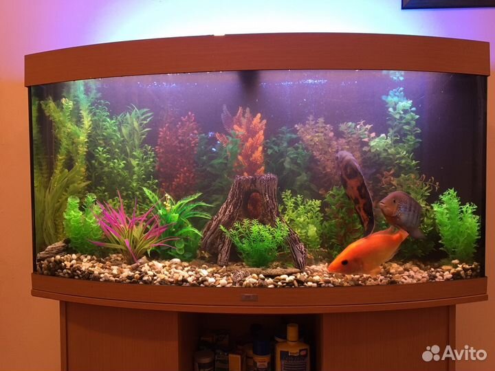 Чистка аквариума