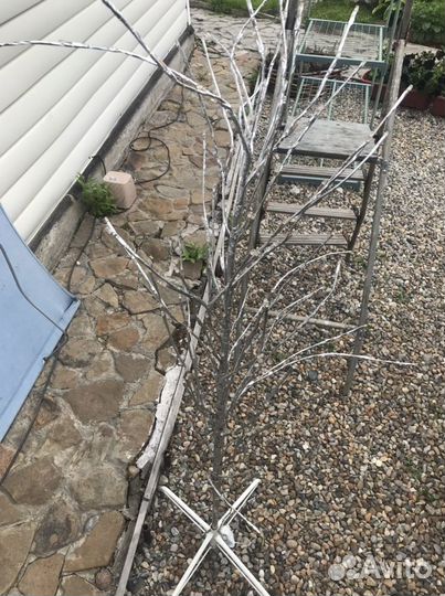 Светящееся дерево