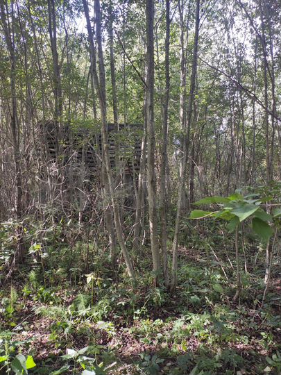 Участок 10 сот. (СНТ, ДНП)