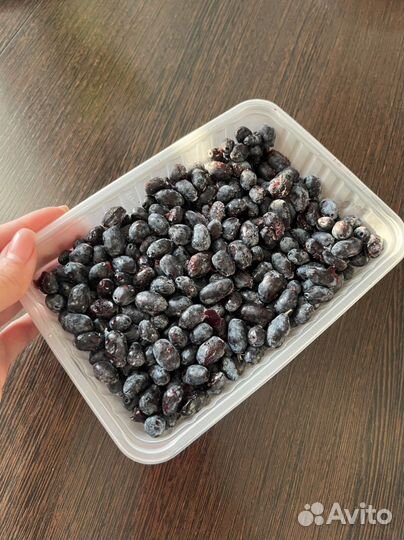 Жимолость мороженная 2023 года