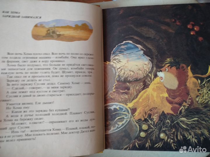 Весь мир - моя нора