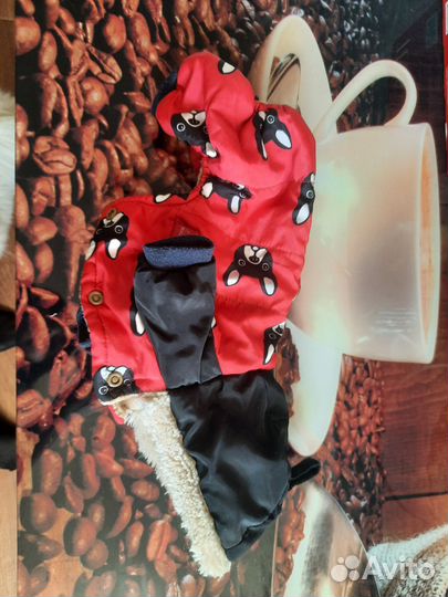 Костюм для собаки