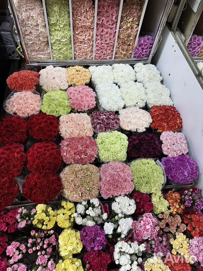 Гвоздика с доставкой