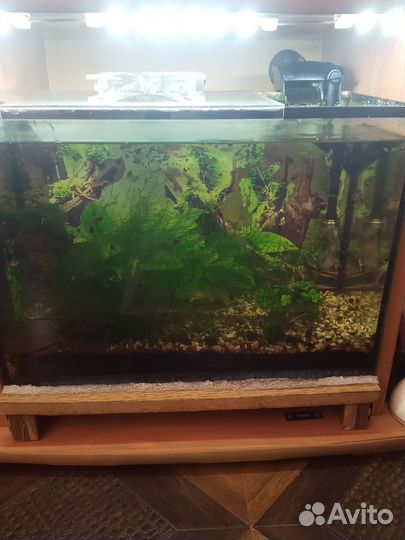 Аквариум