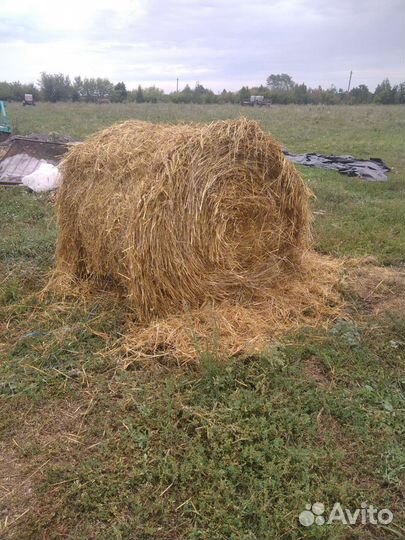 Солома в рулонах