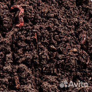 Удобрения биогумусом с чернозёмом