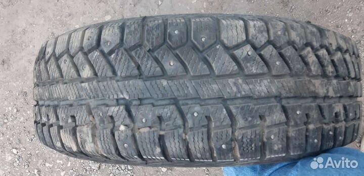 Cordiant Polar 2 195/65 R15