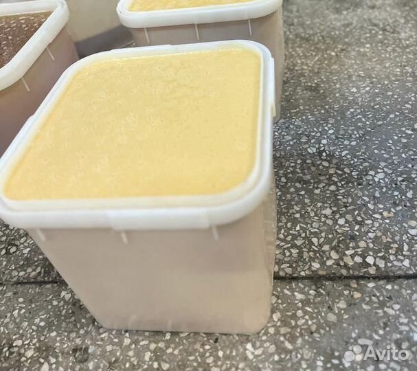 Мед донниковый свежий опт