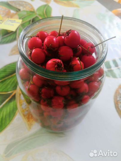 Боярышник плоды