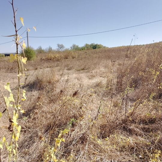 Участок 5,8 сот. (СНТ, ДНП)