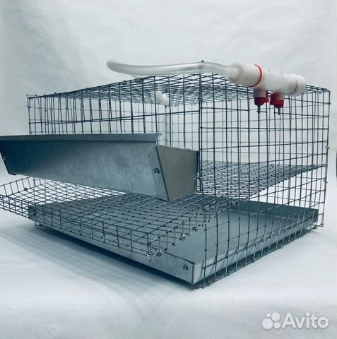 Клетка для перепелов купить в Екатеринбурге | Животные и зоотовары | Авито