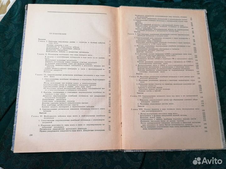 Медленные электрические процессы в головном мозге