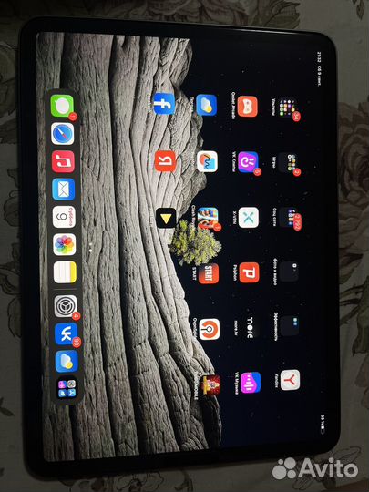 Apple iPad pro 11 2021