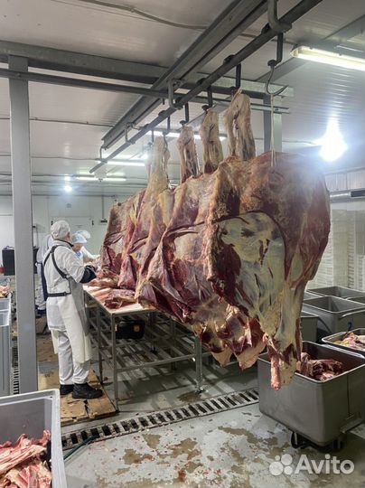 Приглашаем инвесторов в мясопереработку