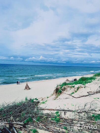 Экскурсии Куршская Коса; Обзорная по Калининграду