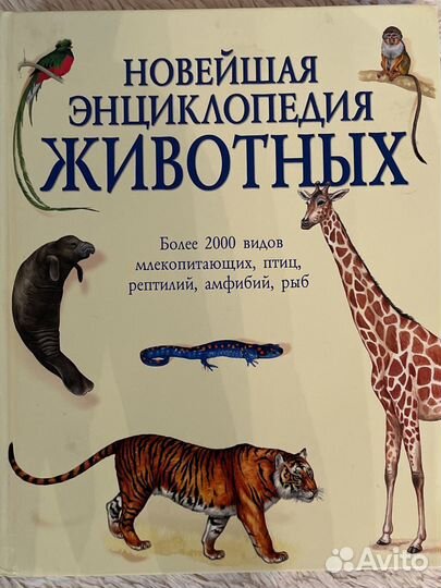 Энциклопедия