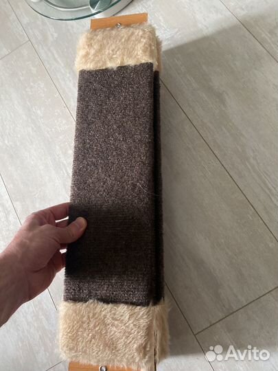 Когтеточка