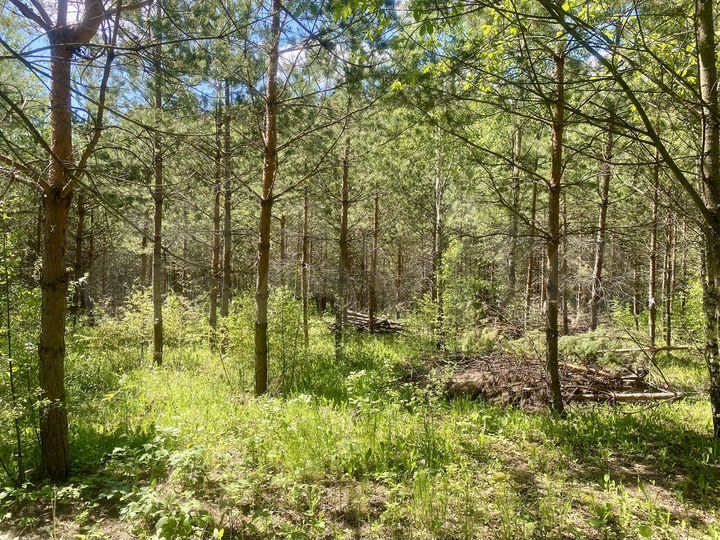 Участок 22,5 сот. (ИЖС)