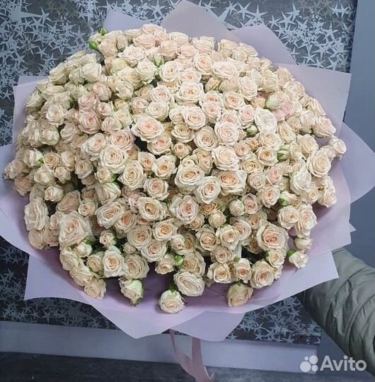 Букеты Цветы Роза 51 101