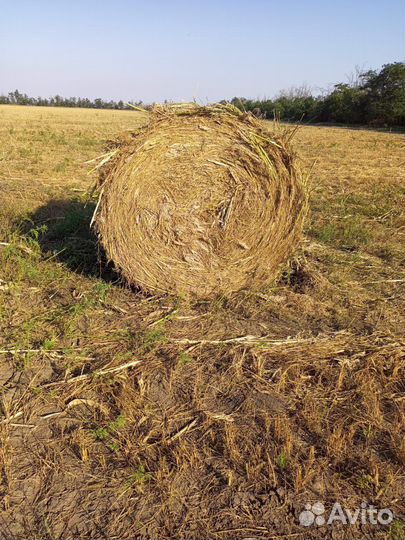 Сено в рулонах