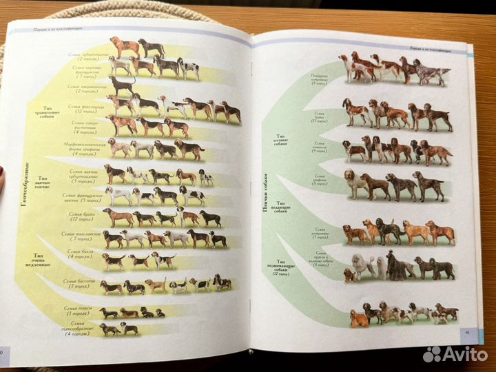 Энциклопедия Собаки мира 2001 первое издание