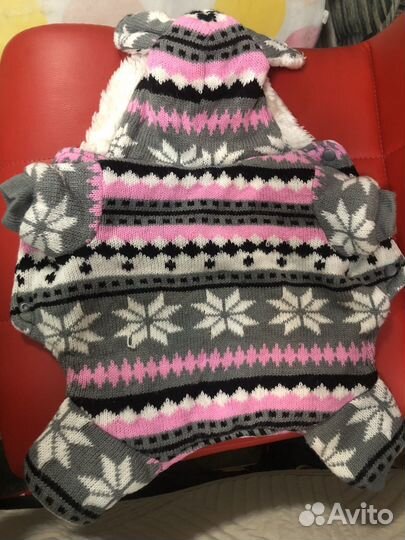 Одежда для собак мелких пород