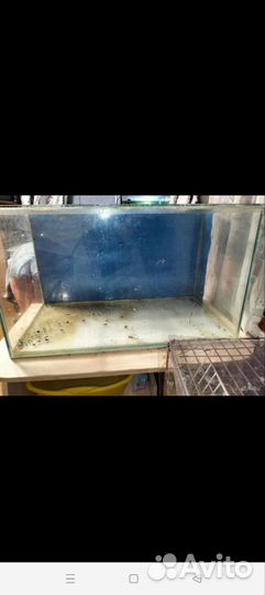 Аквариум 100 литров