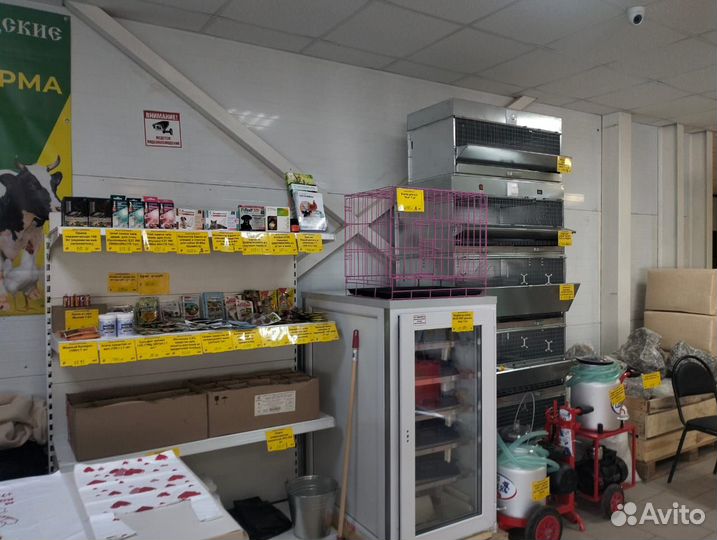 Люцерна семена