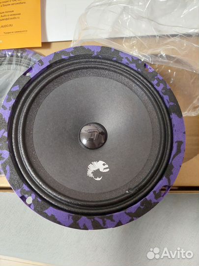 Dlaudio Piranha 165