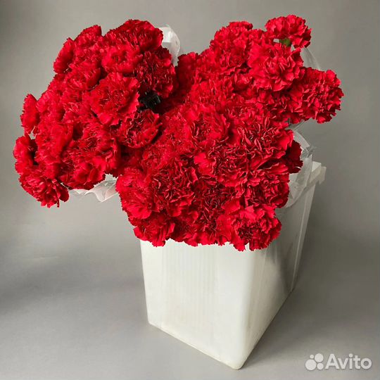 Цветы опт розница гвоздики розы