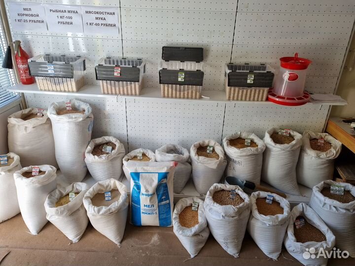 Зерно, зерносмеси, кормовые добавки