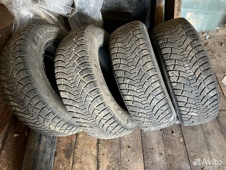 Cordiant Polar 215/65 R16 88T