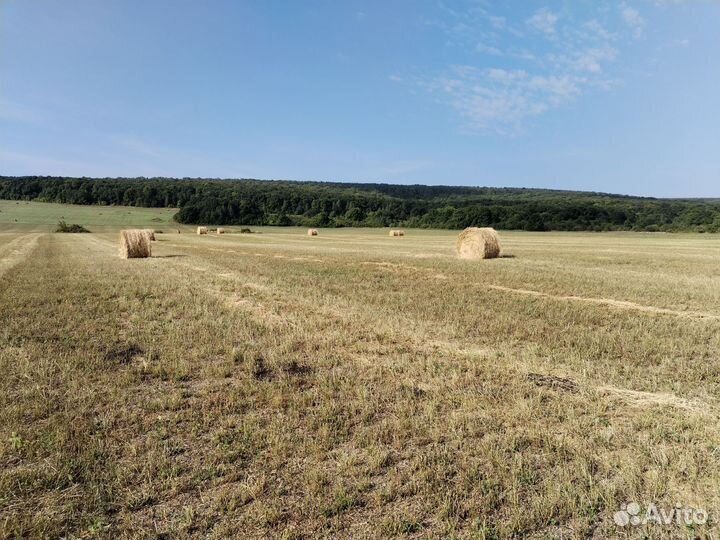 Сено и солома в рулонах