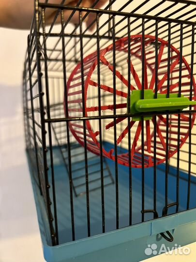 Клетка для хомяка (джунгарика)