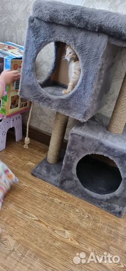 Домик для кошки