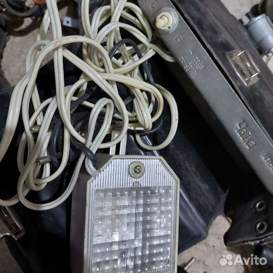 Фотовспышка чайка