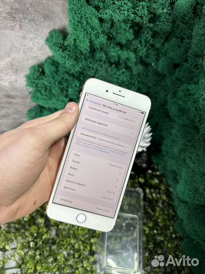 iPhone 8 Plus, 256 ГБ