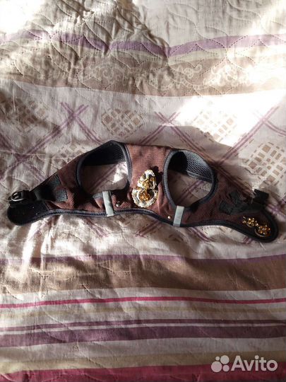 Шлейка для небольшой собачки